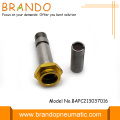 Auto Drain Valve Magnetventil Ventil Teile Magnetventil Plunger